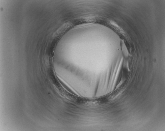 X0000069830213200606021344