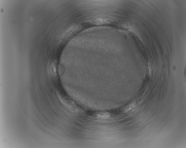 X0000069830214200606021344