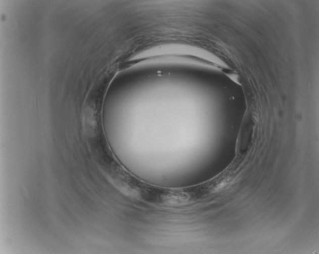 X0000069830215200606021344