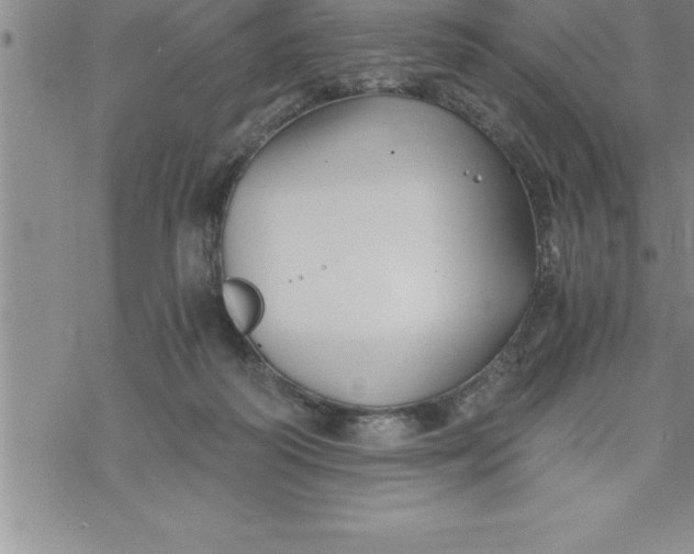 X0000069830218200606021344