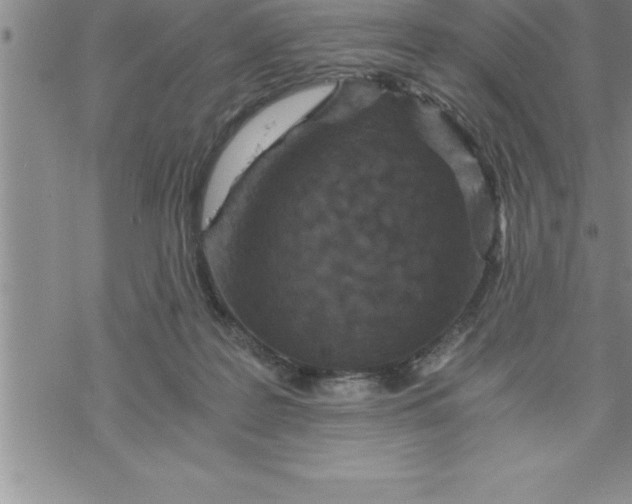 X0000069830219200606021344