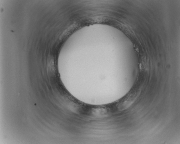 X0000069830220200606021344