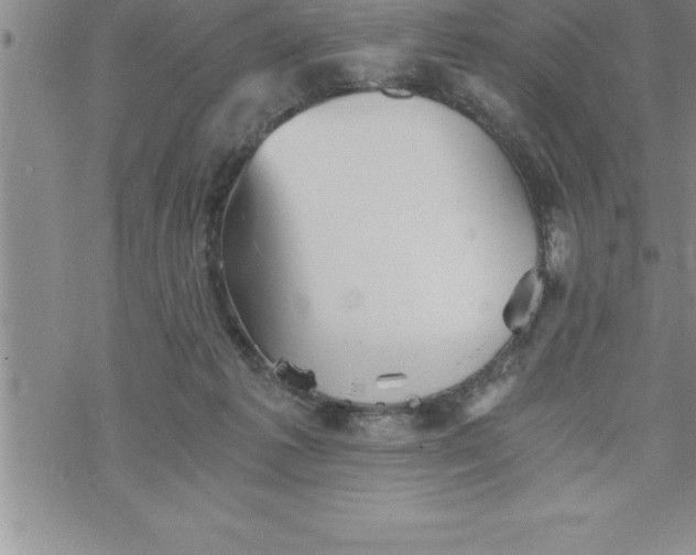 X0000069830221200606021344