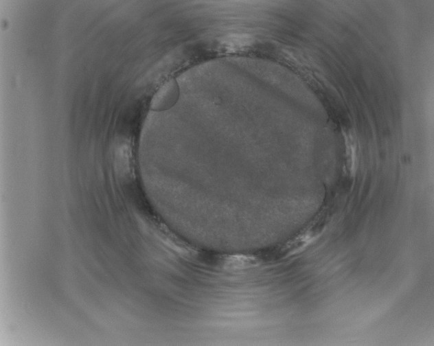 X0000069830222200606021344