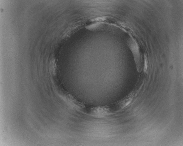 X0000069830223200606021344