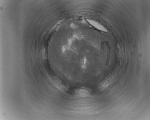 X0000069830224200606021344