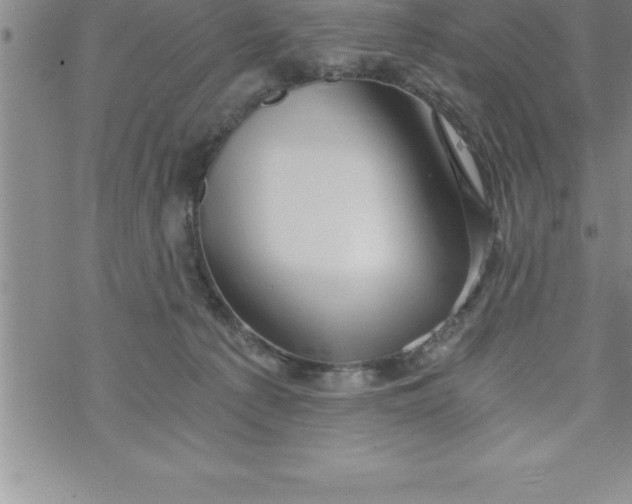 X0000069830225200606021344