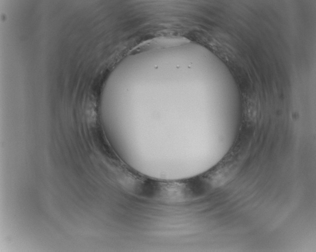 X0000069830226200606021344