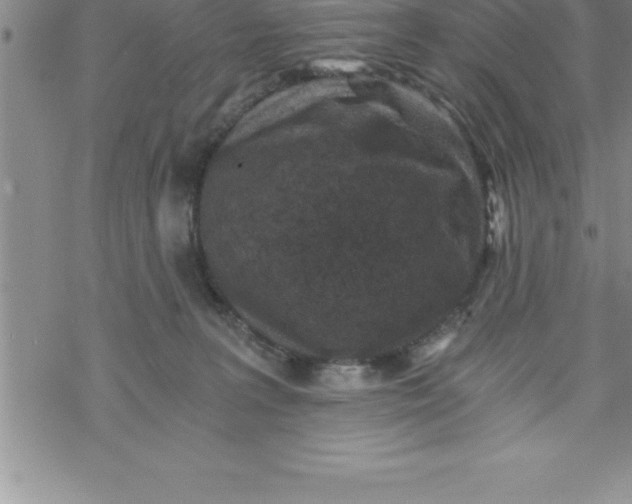 X0000069830227200606021344