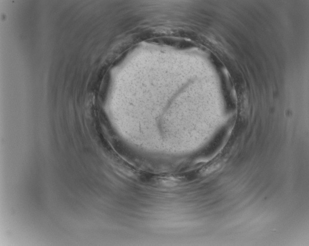 X0000069830229200606021344