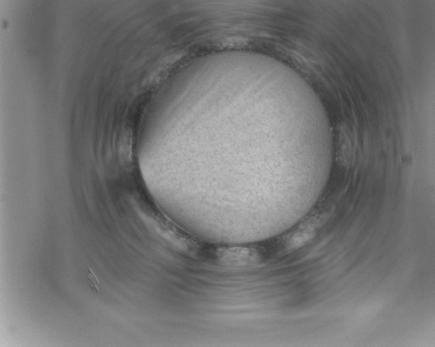 X0000069830230200606021344