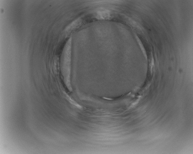 X0000069830233200606021344