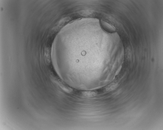 X0000069830234200606021344