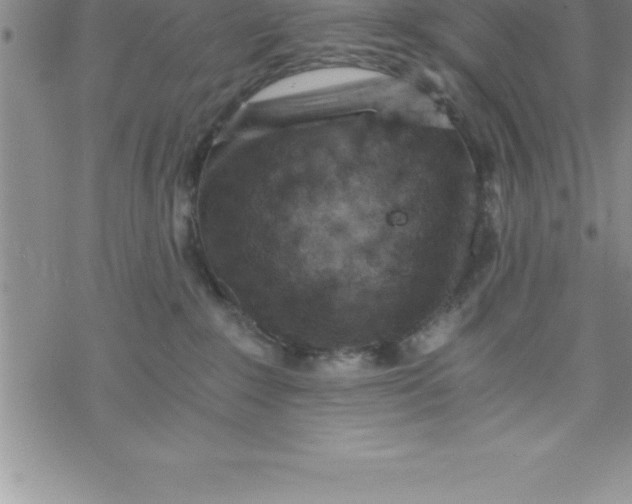 X0000069830235200606021344