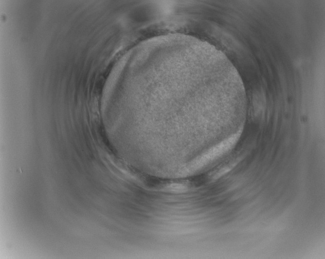 X0000069830236200606021344