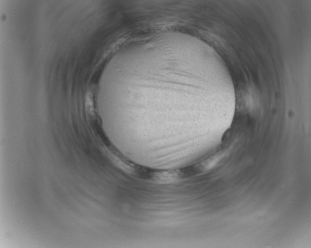 X0000069830238200606021344