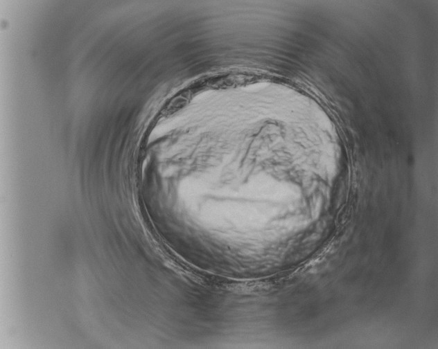 X0000069830241200606021343