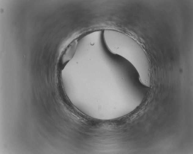 X0000069830248200606021343