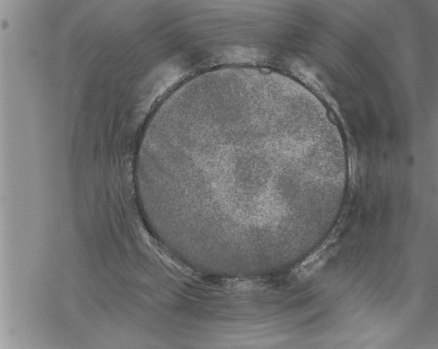 X0000069830249200606021343