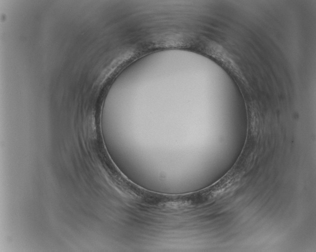 X0000069830251200606021343