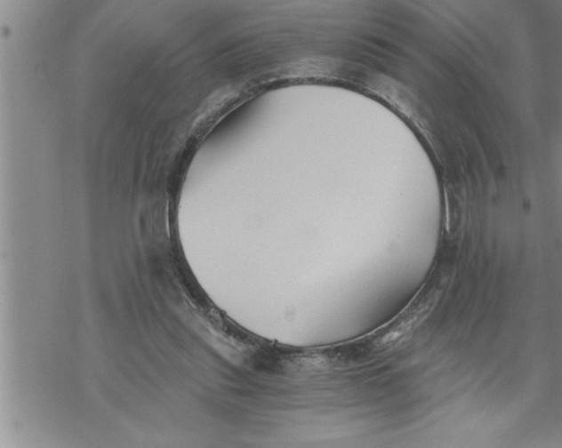 X0000069830253200606021343