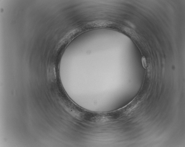 X0000069830254200606021343