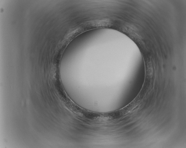 X0000069830255200606021343