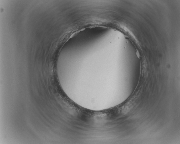 X0000069830257200606021344