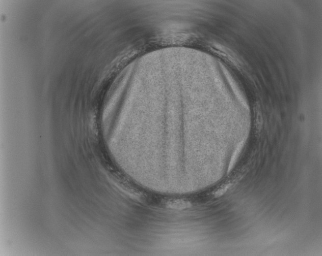 X0000069830258200606021344