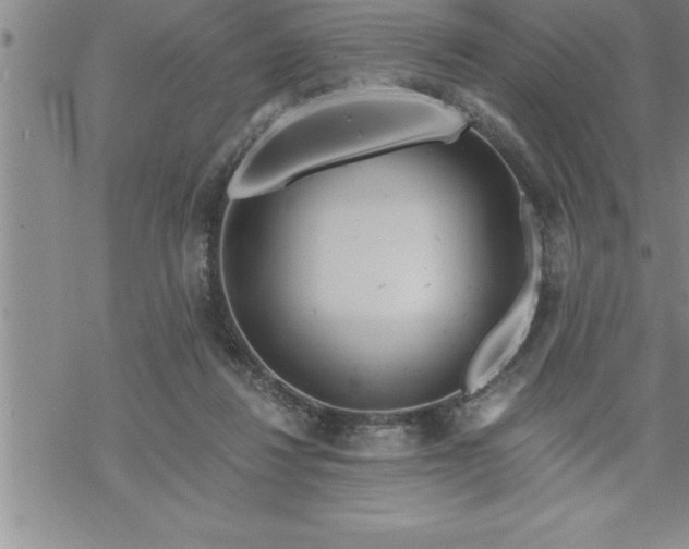 X0000069830260200606021344