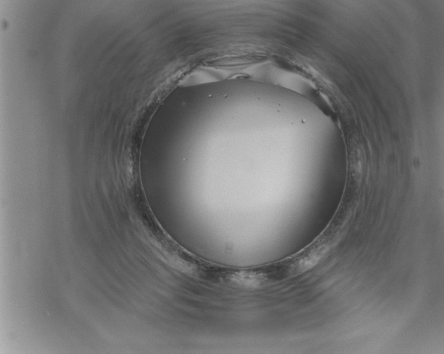 X0000069830261200606021344