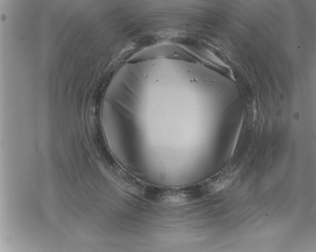 X0000069830263200606021344