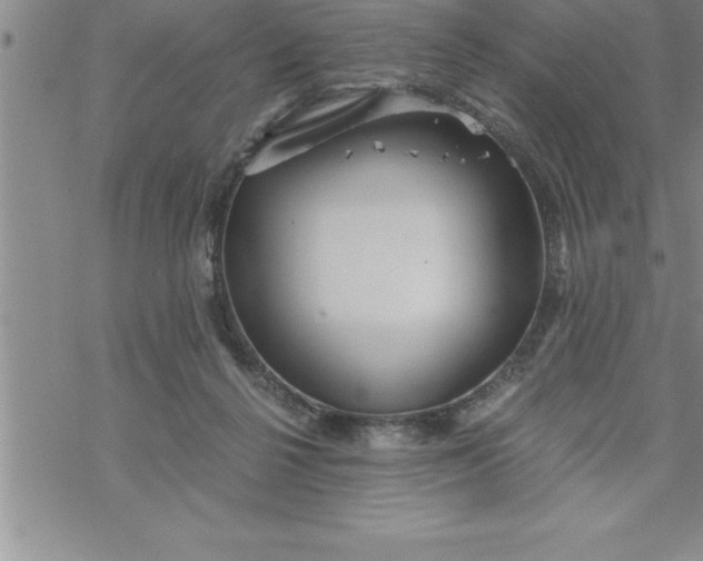 X0000069830264200606021344