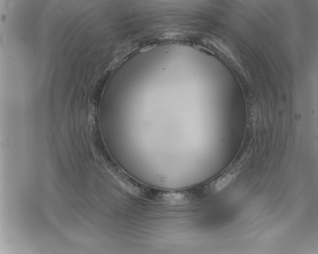 X0000069830265200606021344