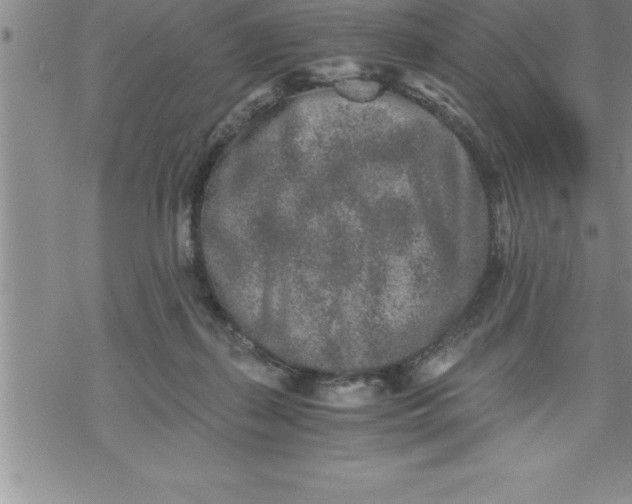 X0000069830267200606021344