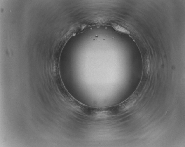 X0000069830268200606021344