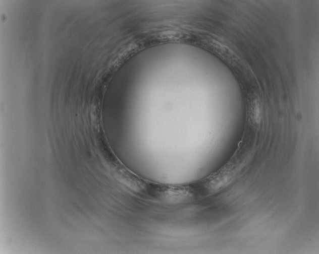 X0000069830270200606021344