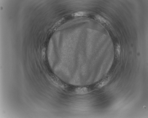 X0000069830271200606021344