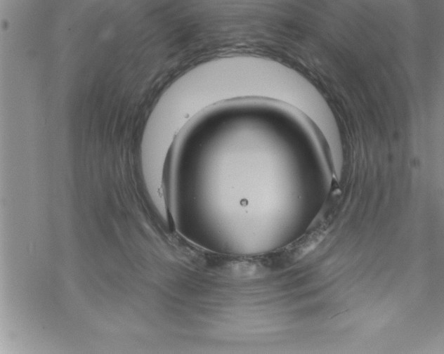 X0000069830272200606021344