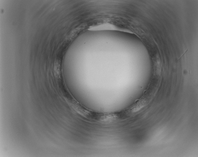 X0000069830274200606021344