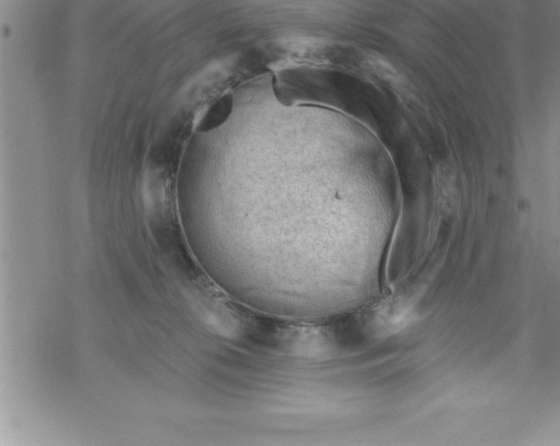 X0000069830276200606021344