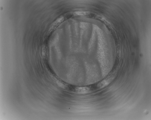 X0000069830277200606021344