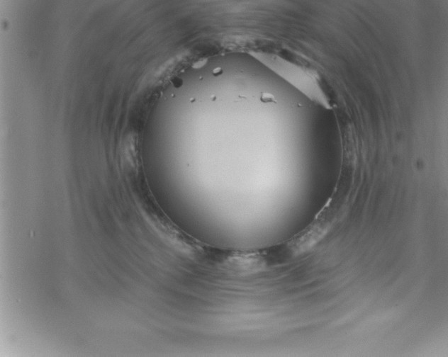 X0000069830280200606021344