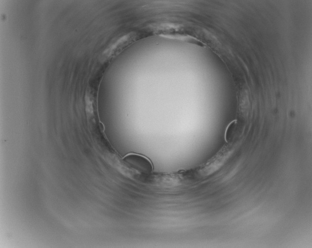 X0000069830282200606021344