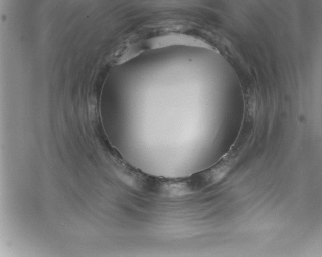 X0000069830283200606021344