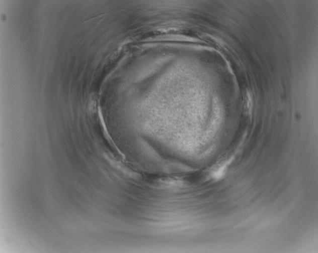 X0000069830284200606021344