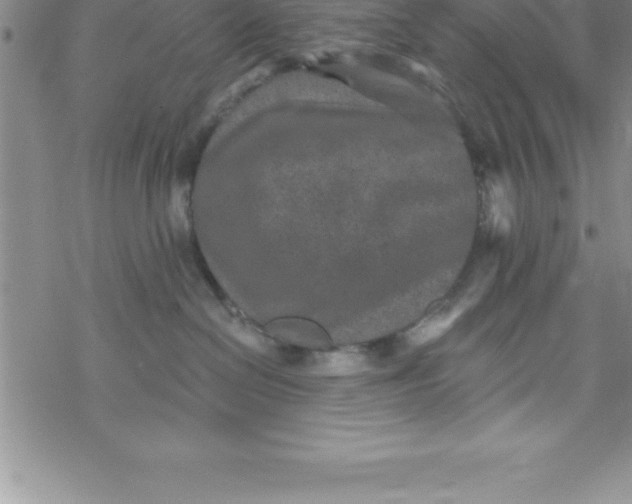 X0000069830286200606021344