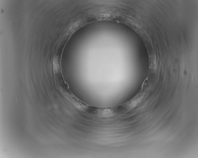 X0000069830287200606021344