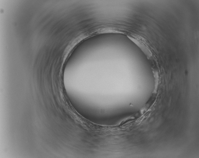 X0000069830289200606021343