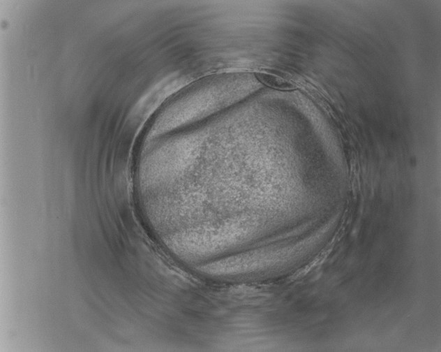 X0000069830290200606021343